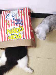 Creative "Fresh And Crunchy" Popcorn Design Pet Play Bag - Interactive Hide And Seek Toys For Cats And Dogs, Durable Cardboard, Stress Reducing Toys, Battery-Free Fun, Cat And Dog Toys, INS Style Pet Cat And Dog Kraft Popcorn Paper Bags, Educational Stress Reducing Tease Cats And Dogs Hide And Seek Kraft Bags - Multicolor - View 4