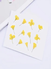 12 Dried Flowers, Pressed Flowers, Real Flower Specimens, DIY Hand-Painted Resin Accessories, Nail Art Teaching Materials, Dried Flowers, Pressed Flowers - Yellow - View 12