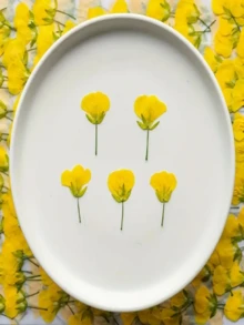 12 Dried Flowers, Pressed Flowers, Real Flower Specimens, DIY Hand-Painted Resin Accessories, Nail Art Teaching Materials, Dried Flowers, Pressed Flowers - Yellow - View 3