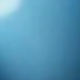 1個