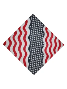 1pc Men's Casual American Flag Printed Y2K Style Bandana/Head Scarf, Suitable For Independence Day, Festivals, Daily Use And Party Matching - Multicolor - View 14