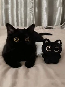 1 卡通猫形宠物毛绒玩具，猫咬玩具，给猫带来无尽的乐趣和锻炼宠物毛绒玩具恶作剧猫玩具猫玩具猫有随机的表情