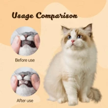 3 包猫玩具咀嚼绳，2025 新款互动猫羽毛玩具，耐咬猫薄荷弹力绳玩具，自娱自乐猫玩具牙齿清洁咀嚼玩具，适合室内猫和幼猫