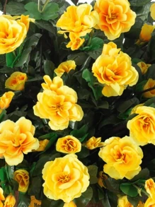 4 Stücke gelbe Azaleen Künstliche Blumen Seide Blumen Künstliche Azaleen Kamelien Zweige für Hochzeit Brautstrauß Tischdekoration, Simulationsblumen Kunststoffpflanzen für Zuhause Zimmer Büro drinnen und Outdoor Blumenvase Dekoration, Faux Blumen für Party, Muttertag, Vatertag, Feste, Geburtstag, Einweihungsparty, Abschlussfeier, Frühling Sommer Boho Garten Hof Küche und Esszimmer Dekorationen