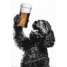 1PC Funny Dog Drinking Beer Wine Wall Art Terrier Samoyed Alcohol Humor Poster Dog Lover Decor For Kitchen Home Optional Frame - Multicolor - View 62