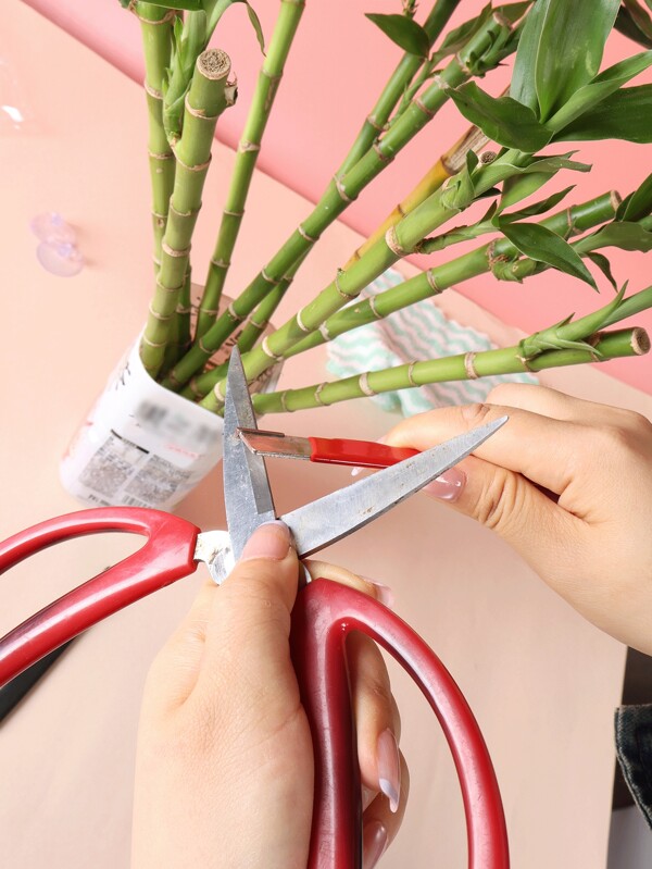 1 Stück/2 Stücke tragbarer Scherenschärfer + Tuch, scharfe Gartenschere, Messerschärfer, Schleifstein, Schnellschärfer, Stein, Küchenwerkzeug, tragbarer Haushaltsschärfer, kompaktes Schärfwerkzeug für Scheren, Messer, geeignet für kleine Messer, Gartenscheren/Schäler/Axt, hilfreich für Gartenscheren, praktisches tragbares Schärfwerkzeug