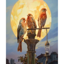 1pc/3PCS RUOPOTY Diamond Painting Two Birds Full Drills Embroidery Animal Handicraft Diy Kits Home Decoration Frameless Animals Frame Animals