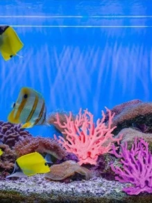 1 pièce Décoration de corail artificielle pour aquarium, décoration de table, centre de table sous-marin réaliste. Ornements de plantes océaniques pour la décoration de fête et de salon.