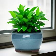 Round Ceramic Flower Pots Ceramic Plant Pots With Drainage Holes For Indoor & Outdoor Flower Plants (Acceptable Color Difference)