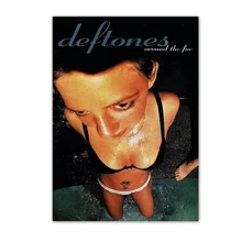1pc Retro Band Poster Aesthetics Classic Music Album Canvas Painting Wall Art Pictures Prints Home Decor Fans Gift Unframed,No Frame