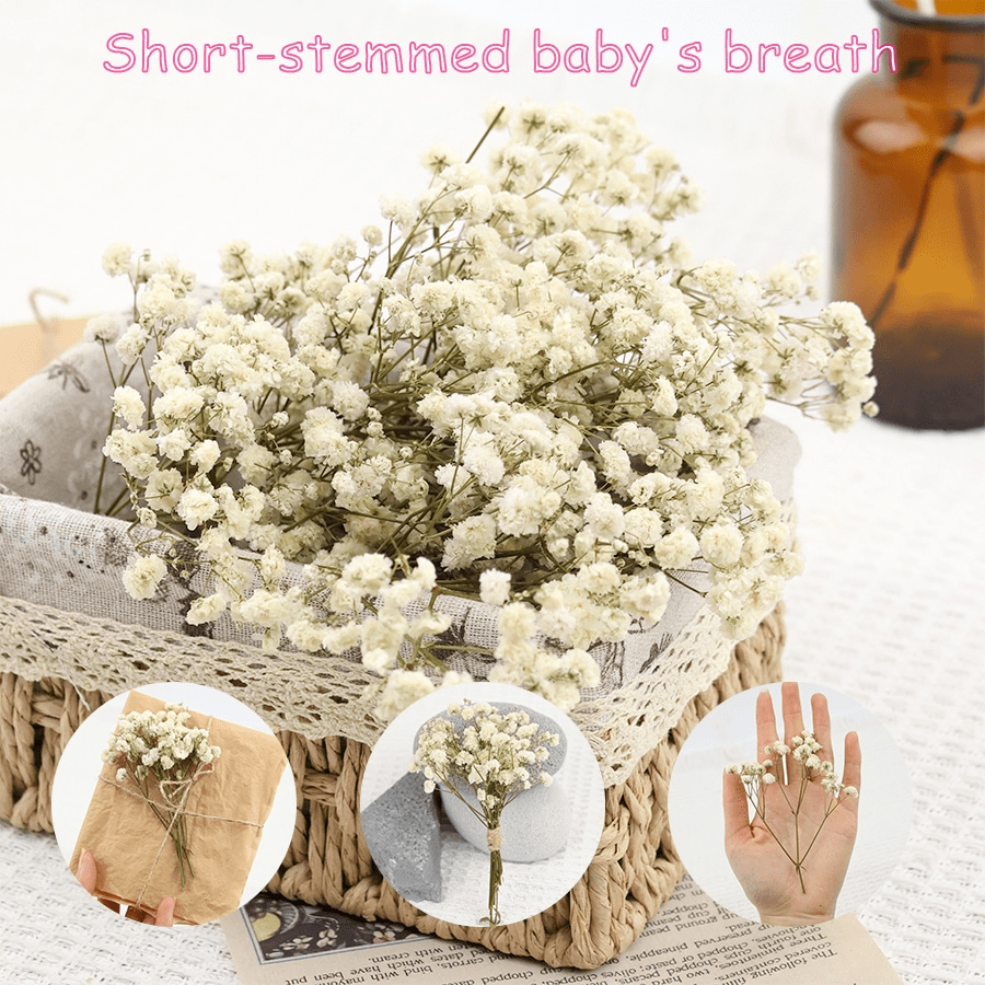 1 Box Of Dried Babysbreath Flowers, Natural Gypsophila Branches For Party Table Vase, Garden Office Wedding Home Gifts And DIY Wreath Floral Arrangements