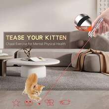 PETSIN 3-In-1 Cat Toys Laser Pen - Red Laser, UV Light, White Light 3 Modes, 5 Red Laser Chase Patterns, UV Wood's Lamp, LED White Flashlight, USB Rechargeable (60mAh), Stainless Steel Material, Pet Training & Interactive Toys