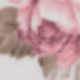 CL02
