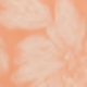 Naranja Coral