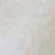 MultiWarna
