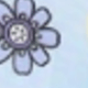 彩色