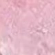 Pink and White Flowers