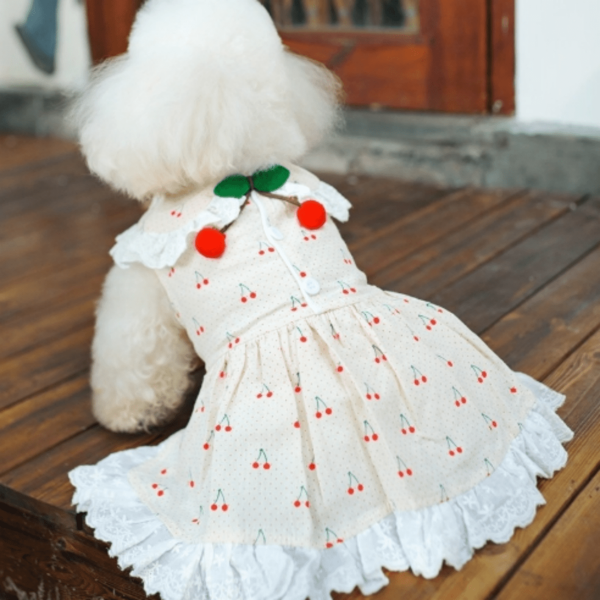 Nuovo abito estivo con stampa di ciliegie, di tipo "teddy", con gonna arricciata per cani di piccola taglia come il Corgi