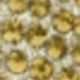 Dorado