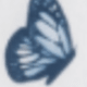 CL05