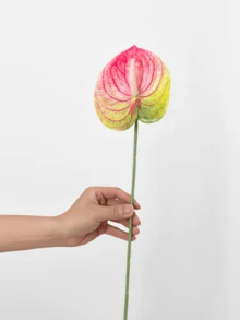 1 CÁI/3 CÁI/5 CÁI Hoa Loa Kèn Anthurium Nhân Tạo (Vàng-Đỏ) Dùng Cho Đám Cưới, Văn Phòng, Tiệc Khách Sạn, Trang Trí Bàn Nhà - vàng đỏ - Xem 6