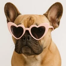 1pc Fashionable Funny Pet Heart Decorated Glasses