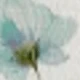 Gris verde