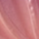 彩色