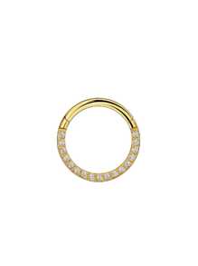 1 pieza Aro de septum con bisagra y circonita, 16G acero inoxidable hipoalergénico negro de 8mm para cartílago helix; Arete de daith de 6mm chapado en oro de 18K; Juego de joyería para perforaciones en concha, trágus, lóbulo, orejas de 10mm, cejas/ombligo; Decoración de joyería para perforación corporal para mujeres y hombres