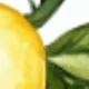 الأخضر الأصفر