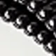 Concha negra