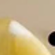 彩色