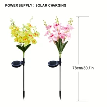 1 件太阳能蝴蝶兰精致花园装饰灯太阳能通道灯情侣礼物草坪灯适用于户外庭院花园草坪围栏车道装饰，无遥控器，塑料灯罩，太阳能节日草坪装饰