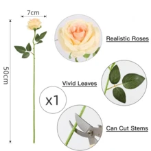 Nejlue Artificial Flowers/Plants1111 Home & Living 1/5/10 枝香槟色人造真实触感玫瑰、香槟玫瑰花束、长茎丝绸玫瑰、新娘花束、情人节花束、家居装饰、房间装饰、花园装饰、墙壁装饰、室内外装饰、卧室装饰、婚礼装饰、餐桌装饰、圣诞装饰、派对装饰、生日装饰、秋季装饰
