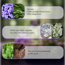 Citrus Floral Perfume For Women, 100ML Eau De Toilette, Blends Mandarin, Rose & Cinnamon, Warm Spicy Sweet Scent - Fresh - View 3