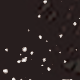 #1 Black