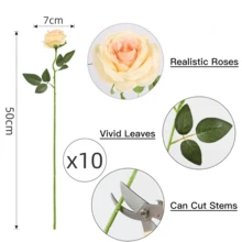 Nejlue Artificial Flowers/Plants1111 Home & Living 1/5/10 枝香槟色人造真实触感玫瑰、香槟玫瑰花束、长茎丝绸玫瑰、新娘花束、情人节花束、家居装饰、房间装饰、花园装饰、墙壁装饰、室内外装饰、卧室装饰、婚礼装饰、餐桌装饰、圣诞装饰、派对装饰、生日装饰、秋季装饰