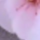 淺粉色