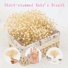 50/100 Stück weiße künstliche Mini Schleierkraut-Blumen - zart, einfach selbst zu basteln, geeignet für Hochzeiten, Heim- und Bürodekoration, Partys und Gärten - Tischdekor im Boho-Stil, ohne Federn, ohne Stromanschluss, passend für Weihnachten, Thanksgiving und Halloween