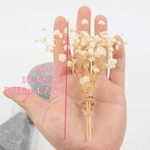50/100 Stück weiße künstliche Mini Schleierkraut-Blumen - zart, einfach selbst zu basteln, geeignet für Hochzeiten, Heim- und Bürodekoration, Partys und Gärten - Tischdekor im Boho-Stil, ohne Federn, ohne Stromanschluss, passend für Weihnachten, Thanksgiving und Halloween