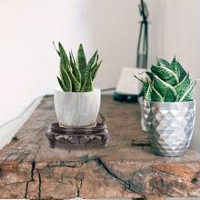 1pc Round Plastic Planter Saucer, Durable Flower Pot Decor Display Tray, Retro Planter Stand Holder, Potted Plant Decoration Base, Garden Yard Decor