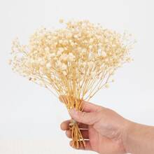 50/100 Stück weiße künstliche Mini Schleierkraut-Blumen - zart, einfach selbst zu basteln, geeignet für Hochzeiten, Heim- und Bürodekoration, Partys und Gärten - Tischdekor im Boho-Stil, ohne Federn, ohne Stromanschluss, passend für Weihnachten, Thanksgiving und Halloween