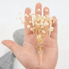 50/100 Stück weiße künstliche Mini Schleierkraut-Blumen - zart, einfach selbst zu basteln, geeignet für Hochzeiten, Heim- und Bürodekoration, Partys und Gärten - Tischdekor im Boho-Stil, ohne Federn, ohne Stromanschluss, passend für Weihnachten, Thanksgiving und Halloween