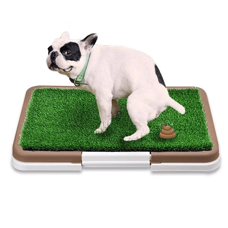 Pet Toilet Mat, Cleaning Mat, Artificial Grass Mat, Faux Lawn Pad, Home Indoor/Outdoor Decor Accessory