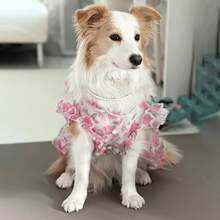 1pc Pet Summer Mesh Rose Dress, Cute Princess Style Dress For Medium/Large Dogs, Suitable For Border Collie, Golden Retriever, Samoyed, Labrador - Pink - View 4