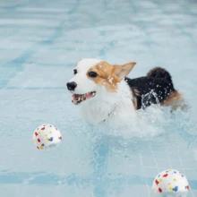 1PC ETPU High-Rebound Dog Bite-Resistant Ball, Round Color Molar Ball Training Pet Educational Interactive Toy Ball, Dog Toy Bite-Resistant Molar Stick, Large Puppy Chewing Toy Dog Toys - Multicolor - View 5