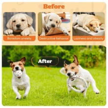 1PC ETPU High-Rebound Dog Bite-Resistant Ball, Round Color Molar Ball Training Pet Educational Interactive Toy Ball, Dog Toy Bite-Resistant Molar Stick, Large Puppy Chewing Toy Dog Toys - Multicolor - View 4