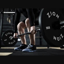 ZION Bumper Plates With Steel Hub 10-45 LB 2-Inch, Weight Plates, Pesas Para Hacer Ejercicio, Bumper Plates For Strength Training Shock Absorbing Low Bounce Technology Sport Series- Black Easy To Load And Unload, Safe, Suitable For Families And Gyms,Weightlifting,Fitness Training,Suitable As A Family Gift