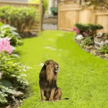 (2D Flat) 1pc 30cm/11.81in Realistic Animal Style Garden Decor Stakes, Lion - Garden Lawn Stake Decor, Garden, Yard, Farm, Outdoor Decor, Housewarming Gift, Home Decor, Bonsai Decor