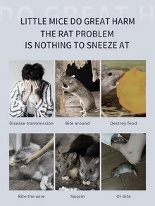 1PC/2PCS/4PCS 智能超声波驱虫器，脉冲共振驱鼠器，美国 A 型插头 (110-127V)，大功率物理超声波害虫控制，高频共振波，360° 全向覆盖，波形扫描，自动调谐，节能，静音低噪音，适用于家庭、厨房、办公室、酒店、仓库，有效室内灭虫，驱蚊驱鼠